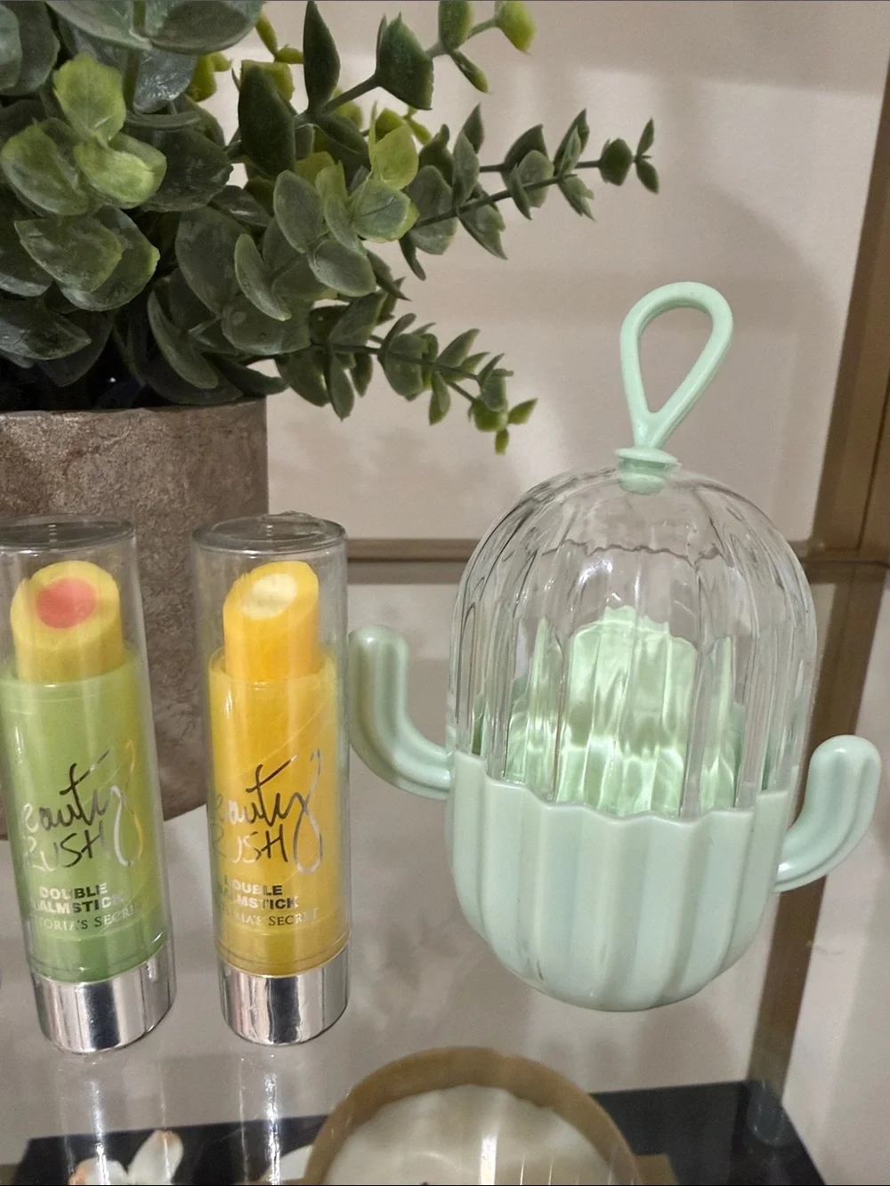 Cactus Make Up Sponge and Lip Balm Set